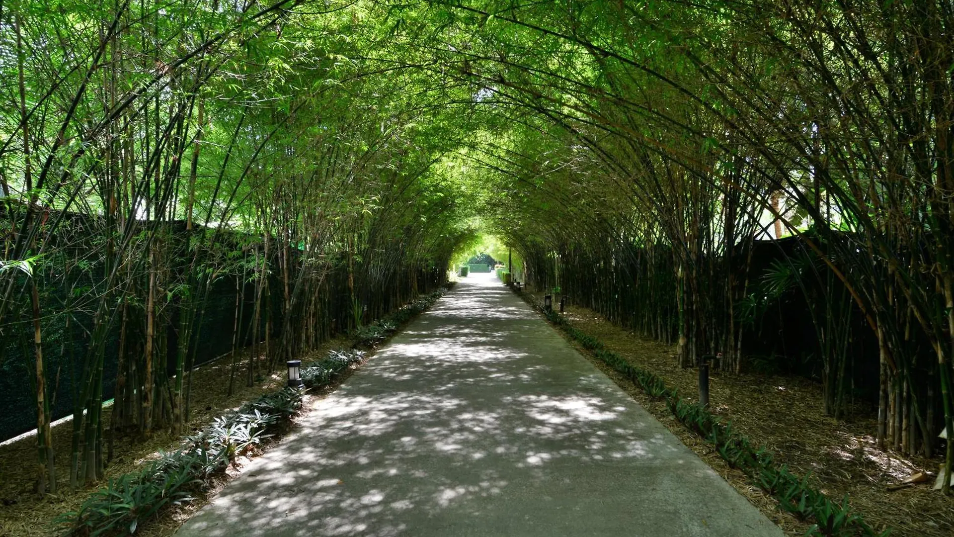 מלון קו לנטה Twin Lotus Resort And Spa - Sha Plus - Adult Only 